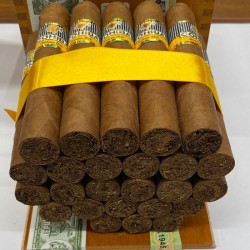 Cohiba Robustos