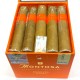 Montosa Robusto