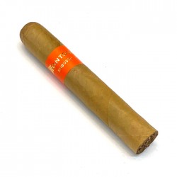Montosa Robusto