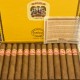 Partagas Shorts