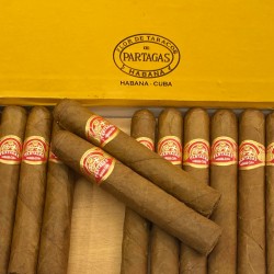 Partagas Shorts
