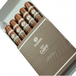 Plasencia Alma Del Campo Sendero - Pack Of 5