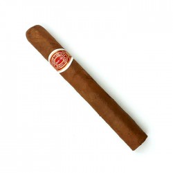 Romeo y Julieta Mille Fleurs